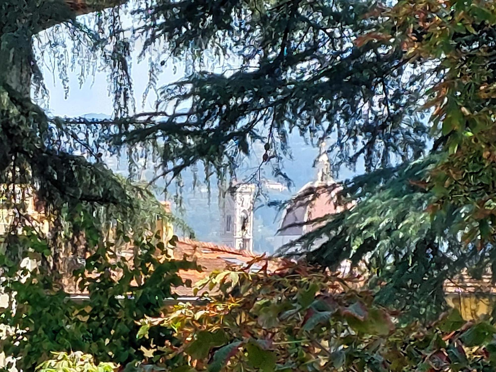 Greenhouse Firenze Camera foto